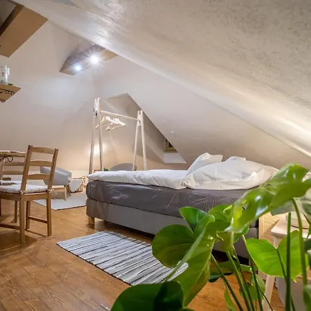 Rodny Dom Deza Hoffmanna