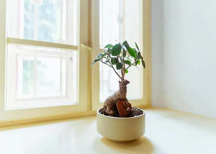 Rodny Dom Deza Hoffmanna Διαμέρισμα Banská Štiavnica