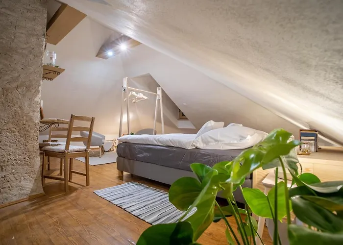 Rodny Dom Deza Hoffmanna