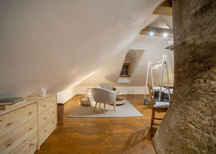 Rodny Dom Deza Hoffmanna Διαμέρισμα Banská Štiavnica